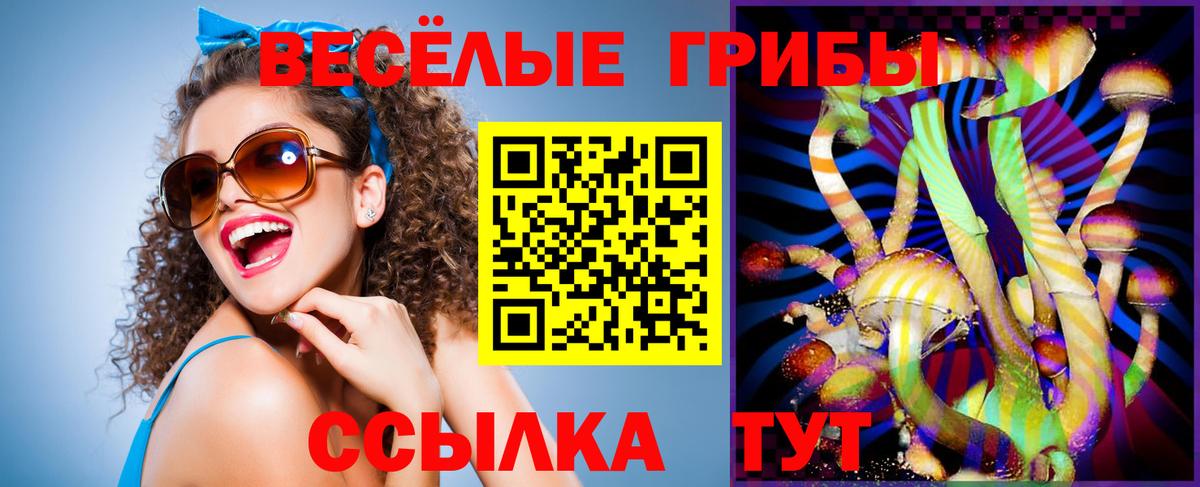 Галлюциногенные грибы GOLDEN TEACHER Избербаш