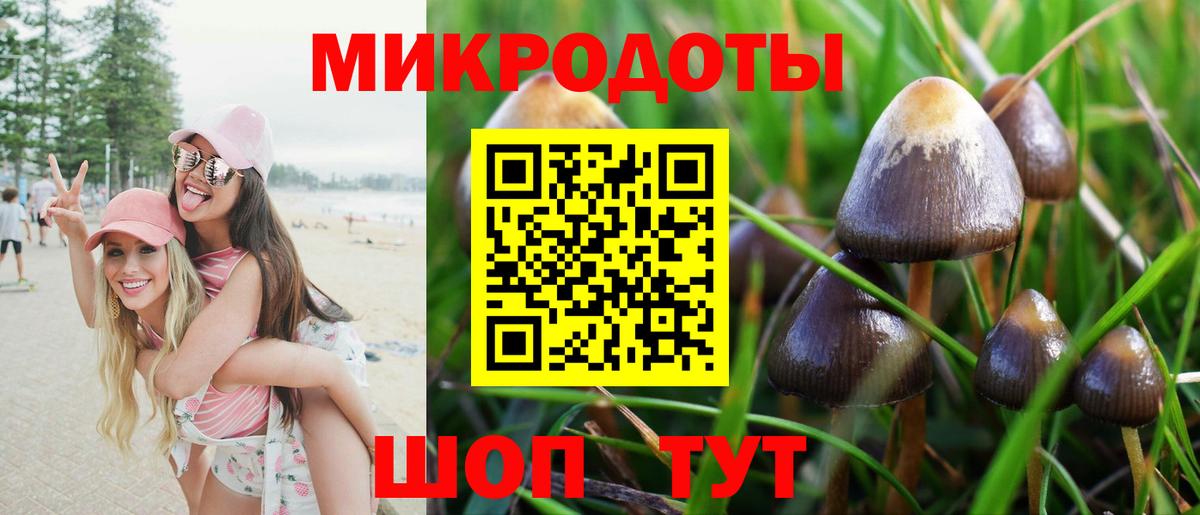 Галлюциногенные грибы MAGIC MUSHROOMS  Вход с VPN  Избербаш 